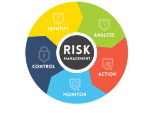 risk management skills