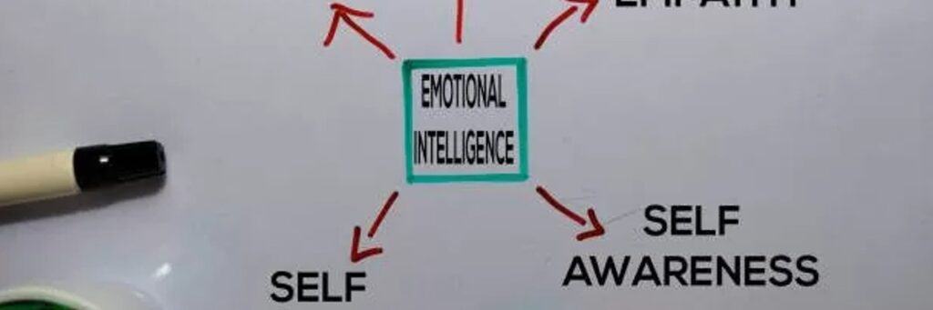 How to Demonstrate Emotional Intelligence Geelong Paramatta Perth Adelaide Canberra Sydney Brisbane Darwin